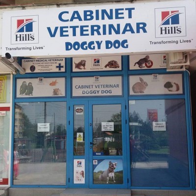 Cabinet Veterinar Doggy Dog