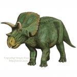 Arrhinoceratops