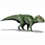 Bagaceratops