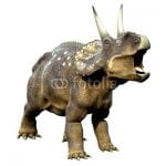 Diceratops