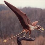 Dimorphodon