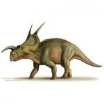 Einiosaurus