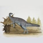 Emausaurus