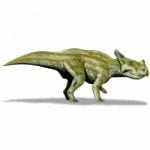 Montanoceratops