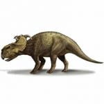 Pachyrhinosaurus