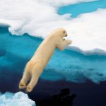 Polar7