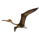Quetzalcoatlus