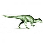Stenopelix