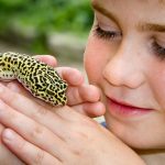 copil cu gecko leopard
