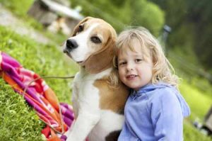 caine beagle cu copil blond