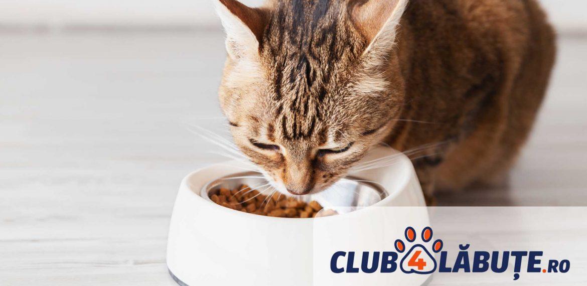 hrana pentru animalute club 4 paws reda stralucirea blanii