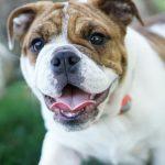 matt odell ywiuc mqlw unsplash