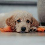matthew foulds bn6uvogy5vm unsplash
