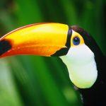 getty images jlhjb0s5stm unsplash