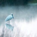 jan meeus nhfq0se4pjc unsplash