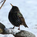 julian xt8kl0o7nz0 unsplash